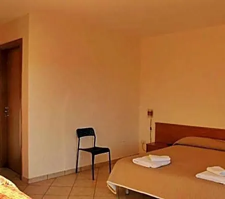 Viola 3*