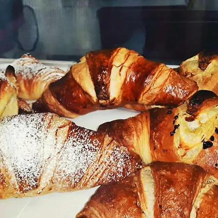 Viola فندق مبيت وإفطار 3*