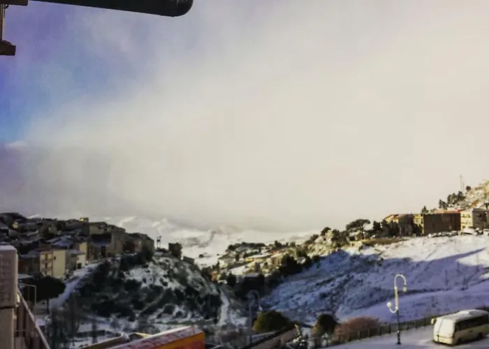 Viola Отель типа 